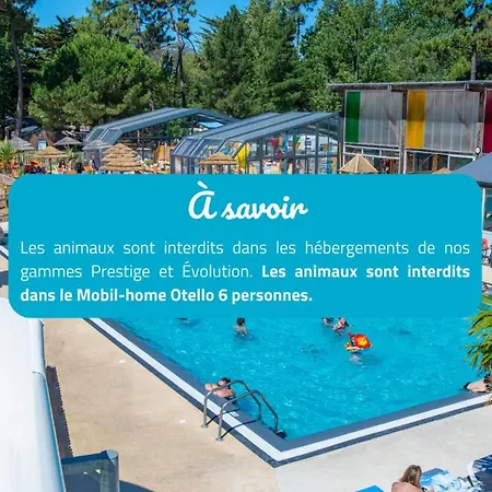 Signol 5* Boyardville