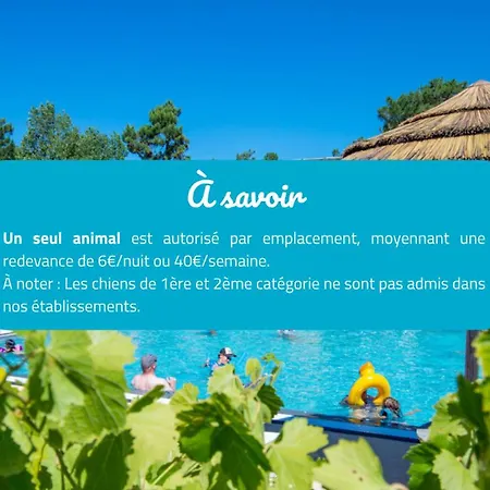 Camping Signol 5*