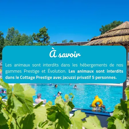 Signol Camping