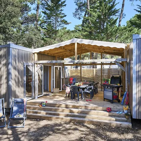Signol 营地