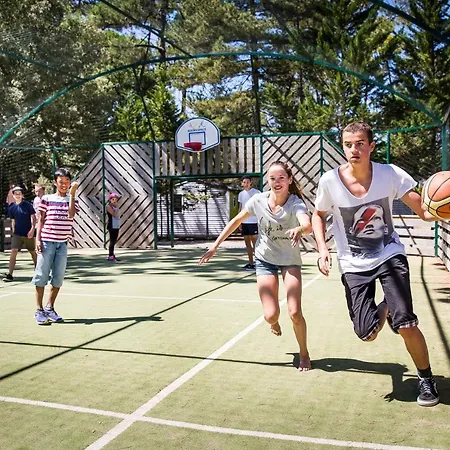 Campsite Signol Boyardville