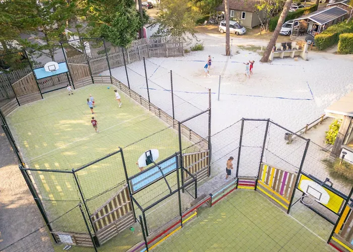 Signol 5* Boyardville